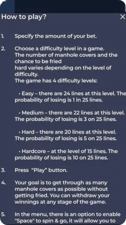 Chicken Road Game Instructions